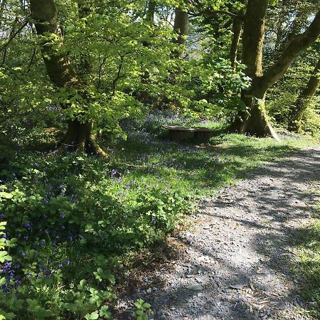 173A Woodland Way Otel Porthmadog Dış mekan fotoğraf